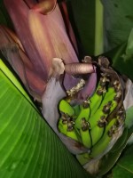 /album/fotogalerij/whatsapp-image-2018-12-24-at-13-45-19-jpeg/